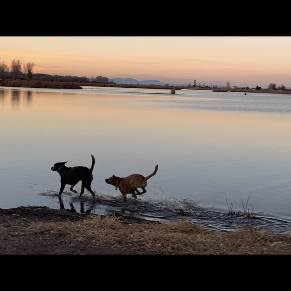 Meet your Posher, Rebecca - Picture 5 of 7